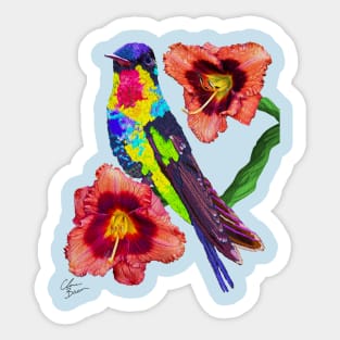 Hummingbird Sticker